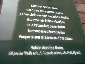 IMG00442-20120725-1806