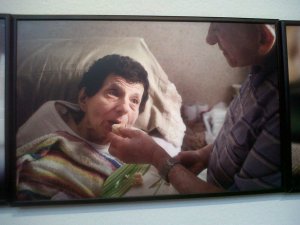 IMG00511-20120929-1639