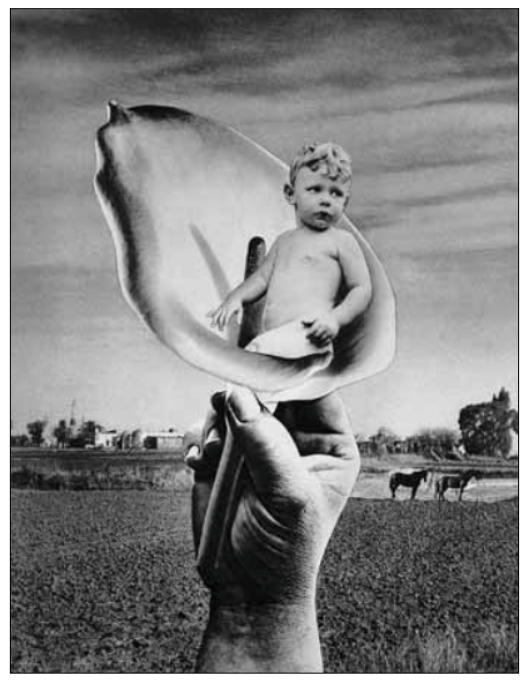 Captura de pantalla 2015-03-31 a las 7.22.57