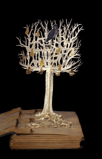 Screen shot 2013-06-04 at 1.12.31 PM