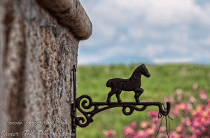 Screen shot 2013-06-12 at 1.17.59 PM