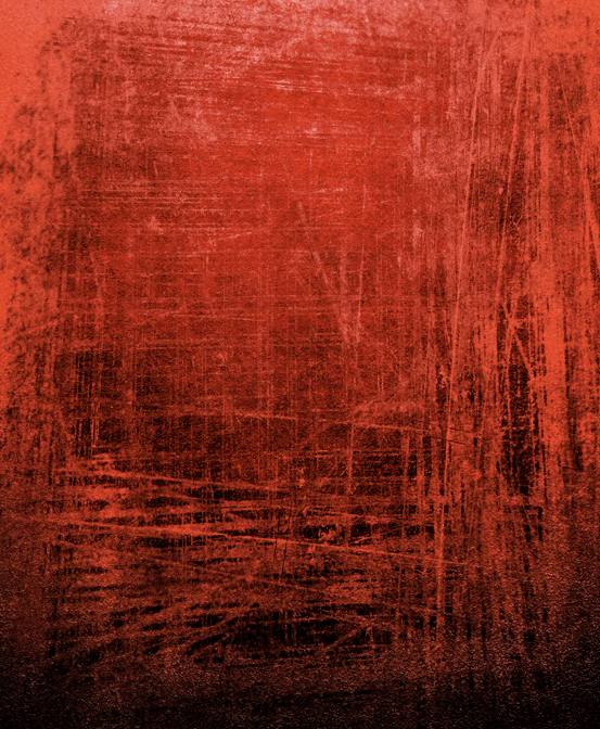 Foto: bgfons.com (2172)