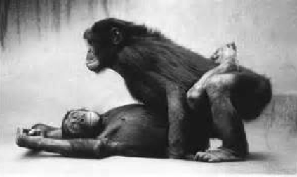 Screen shot 2014-02-13 at 2.00.49 PM