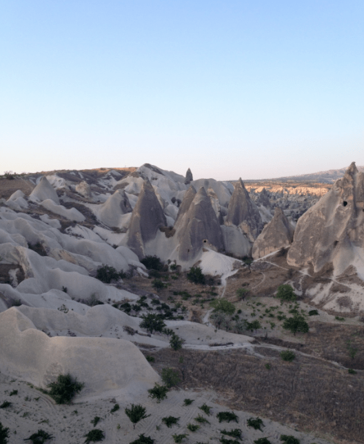 Foto: Julia Santibáñez