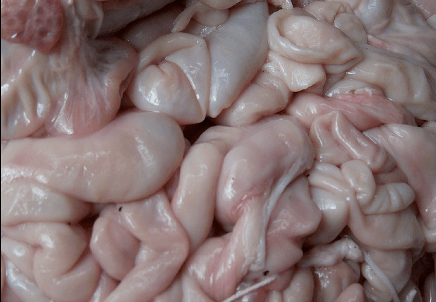 Imagen: Gabo Revuelta