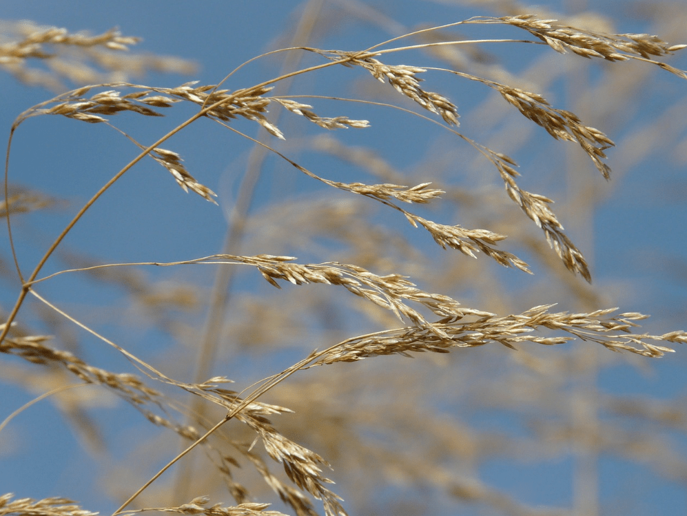 Captura de pantalla 2015-02-20 a las 7.37.45