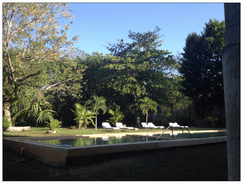 La vista desde mi cuarto.