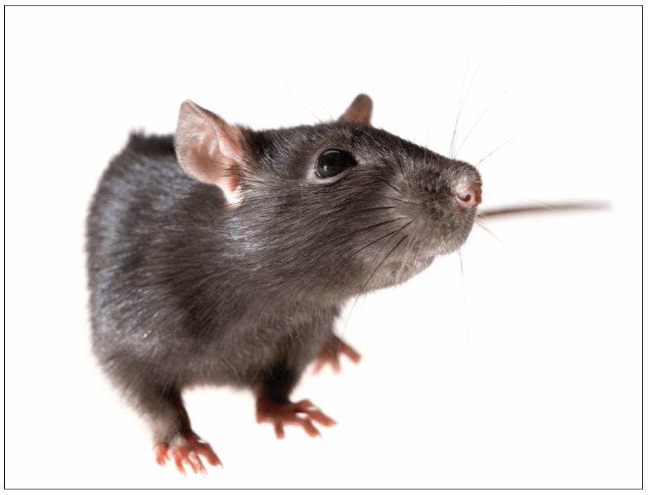 Captura de pantalla 2015-05-20 a las 7.07.25