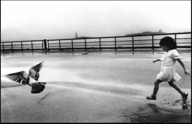 Fotografías: Flo Fox http://www.flofox.com