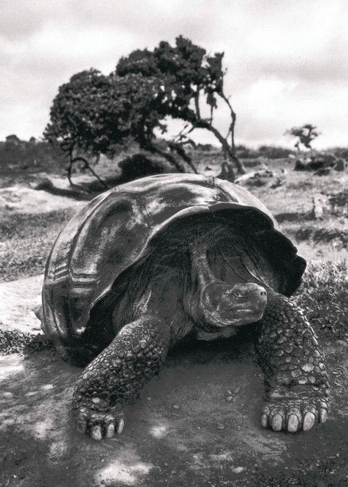 Screen shot 2015-05-05 at 11.50.40 AM