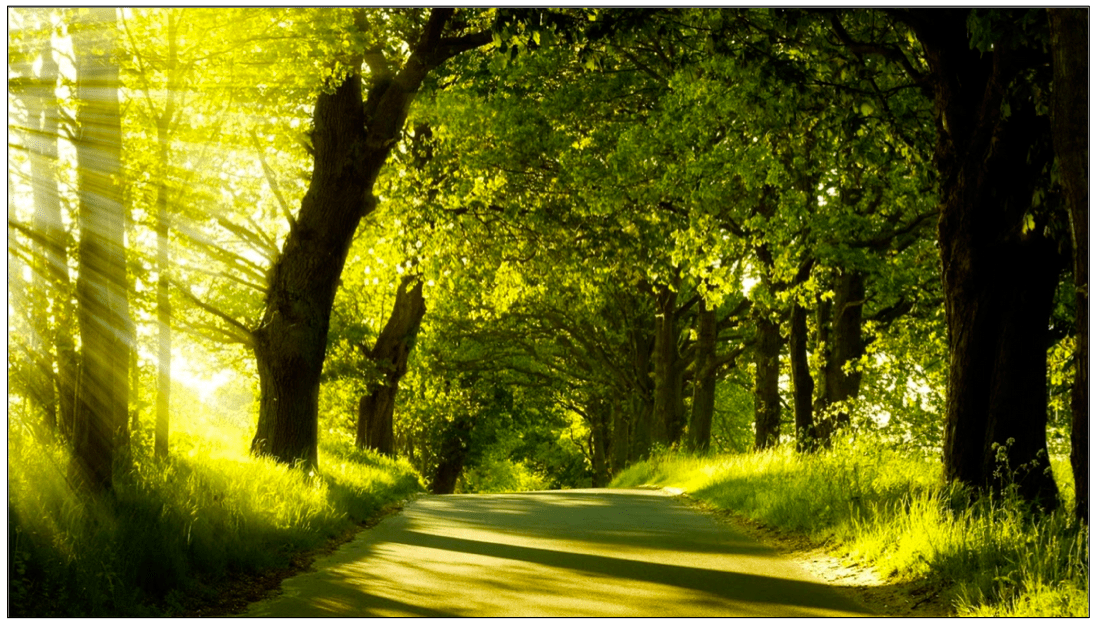 Screen shot 2015-06-12 at 10.28.39 AM