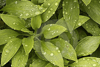 Captura de pantalla 2016-06-13 a las 14.50.10