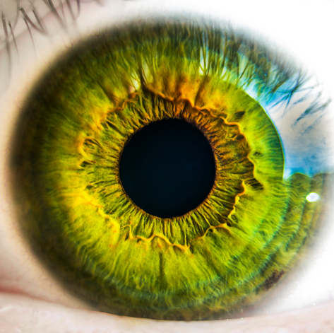 Captura de pantalla 2016-08-25 a las 12.10.48