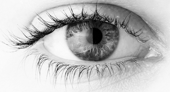 captura-de-pantalla-2016-10-07-a-las-9-43-52