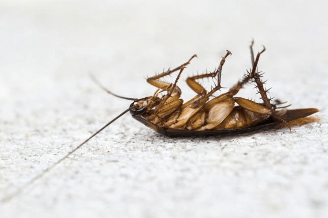captura-de-pantalla-2016-11-16-a-las-10-35-32