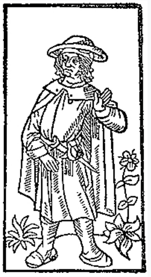 captura-de-pantalla-2017-01-10-a-las-10-22-01