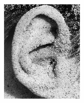 Fotografía: Jerry Avenaim www.avenaim.com