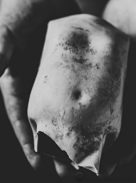 captura-de-pantalla-2017-02-09-a-las-10-25-14